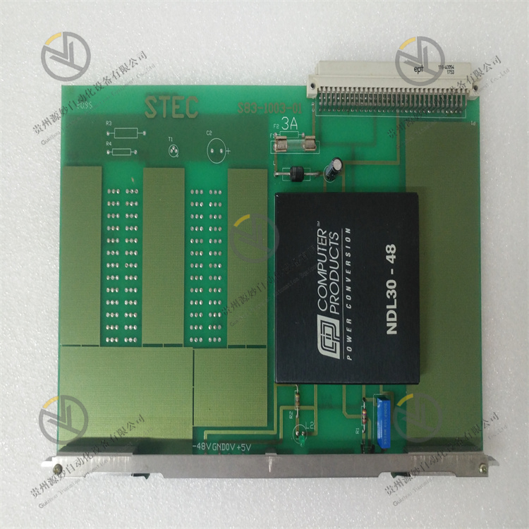 Selectron CPU41LC CPU 模块