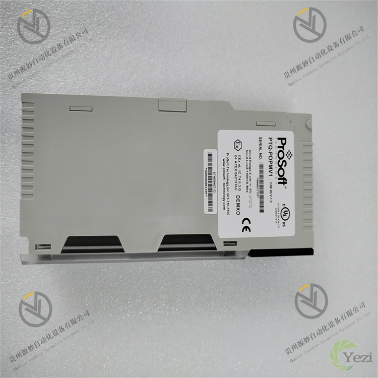 PTQ-PDPMV1 (2).jpg