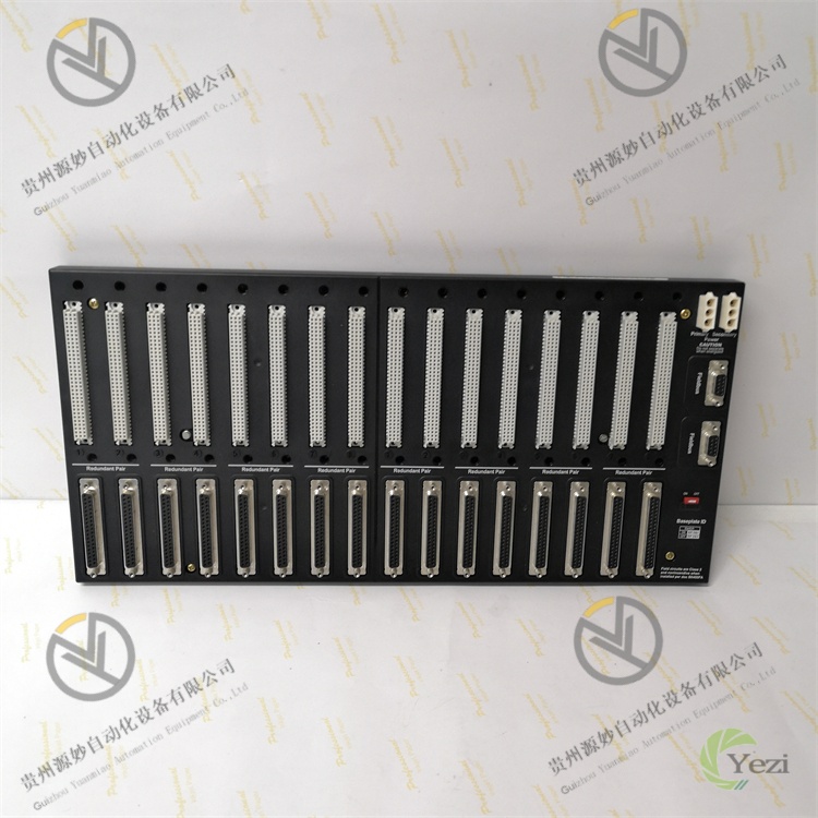 FOXBORO RH101AA 模拟量输入/输出(AI/AO)模块